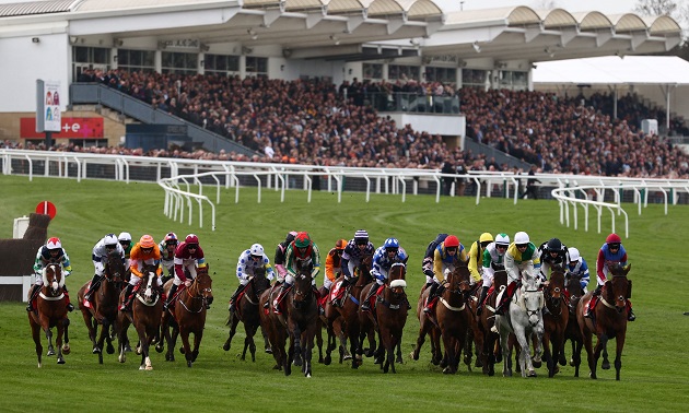 Cheltenham news