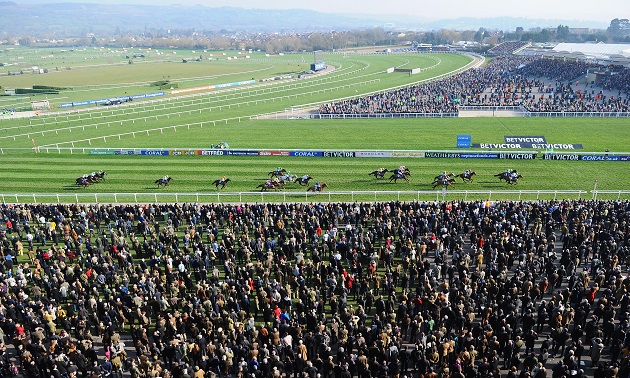 Cheltenham news