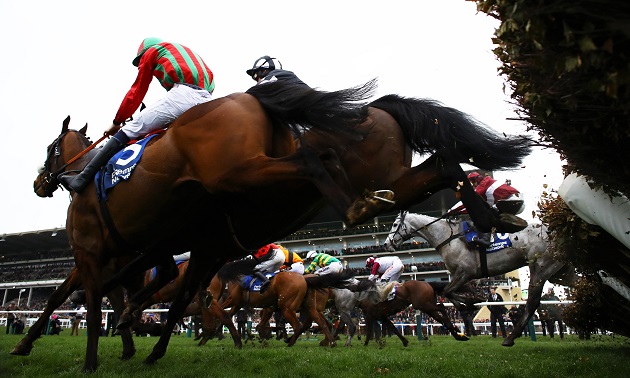 Cheltenham news