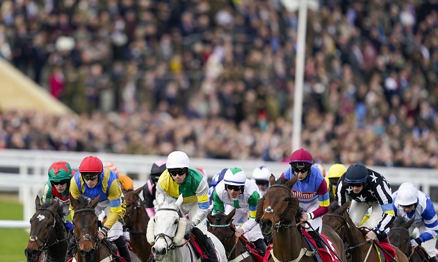 Cheltenham news