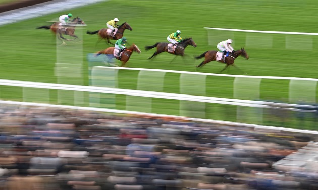 Cheltenham news