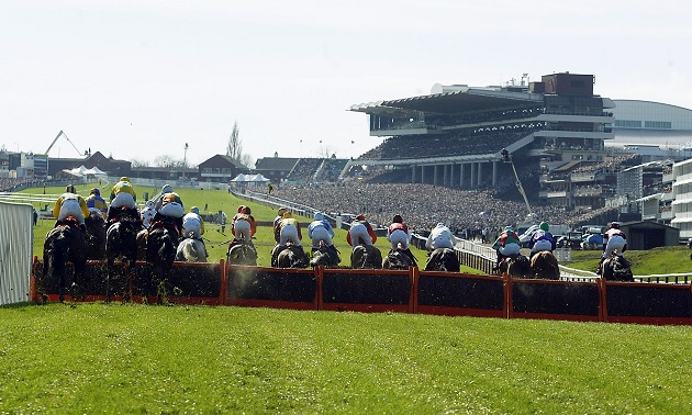 Cheltenham news