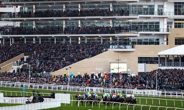 Cheltenham news