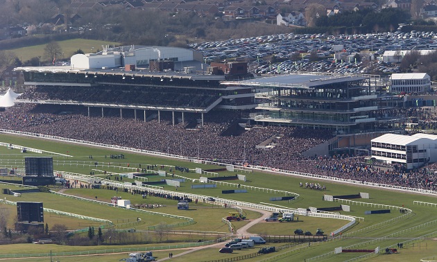 Cheltenham news