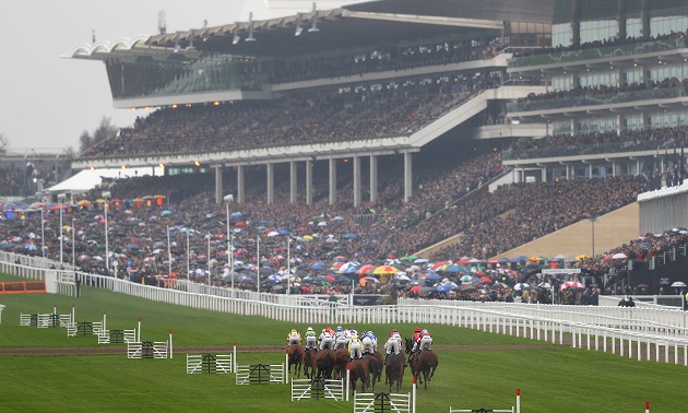 Cheltenham news