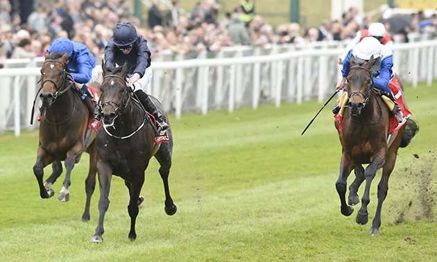 Best Free Horse Racing Tips Best Free Horse Racing Tips