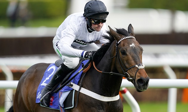 Cheltenham news