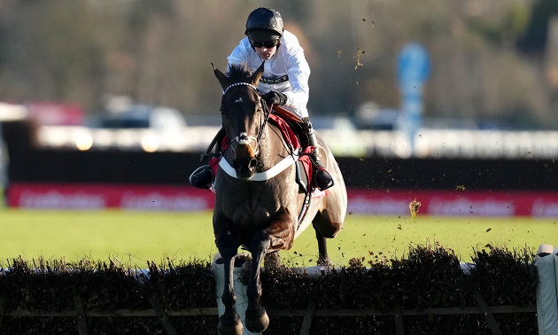 Cheltenham news