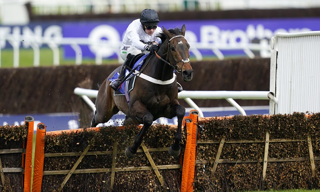 Cheltenham news