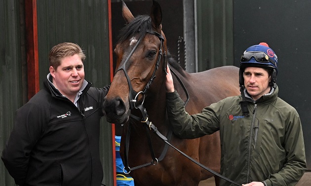 Cheltenham news
