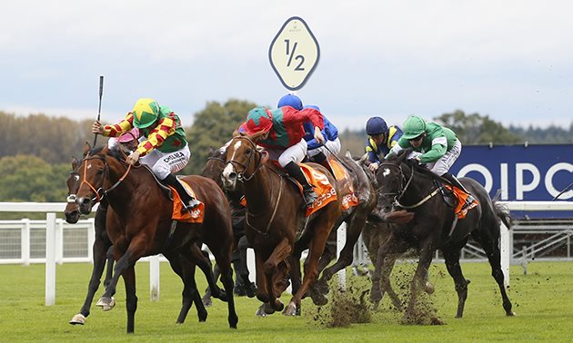Best Free Horse Racing Tips Best Free Horse Racing Tips