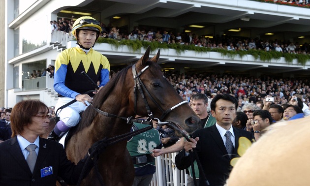 arc horse racing arc horse racing