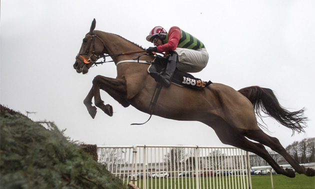 Grand National News