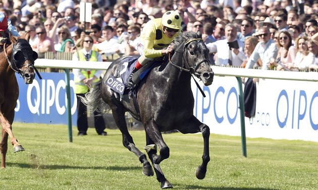 royal ascot news