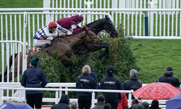 Grand National News