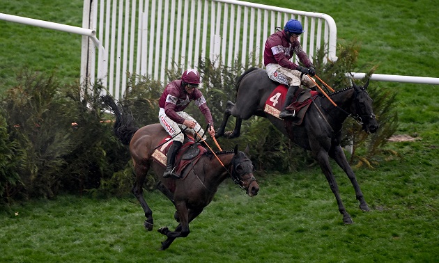 Cheltenham news