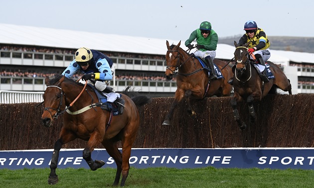 Cheltenham news