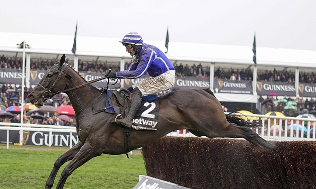Cheltenham news