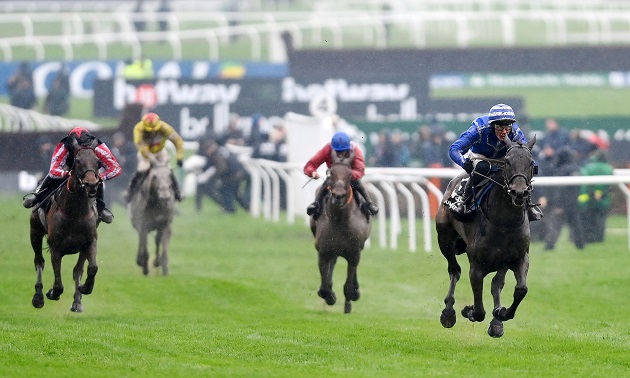Cheltenham news
