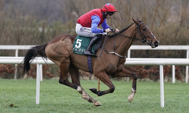 Cheltenham news