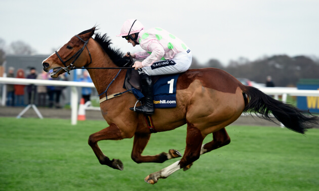 cheltenham tips