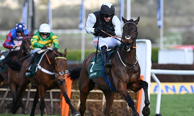 Cheltenham news
