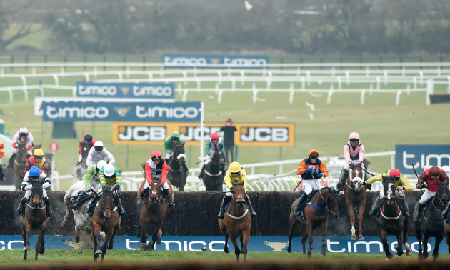 cheltenham tips