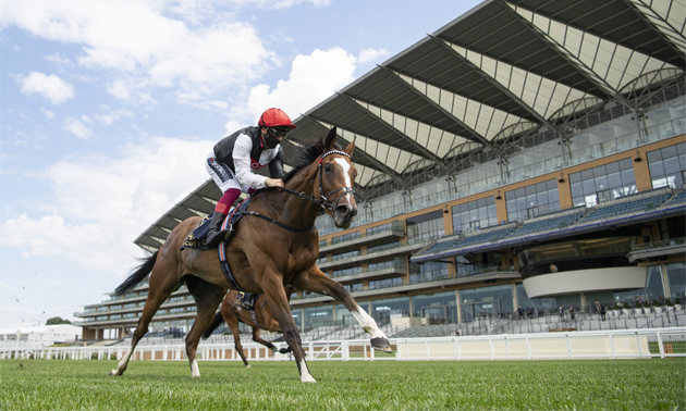 royal ascot tips