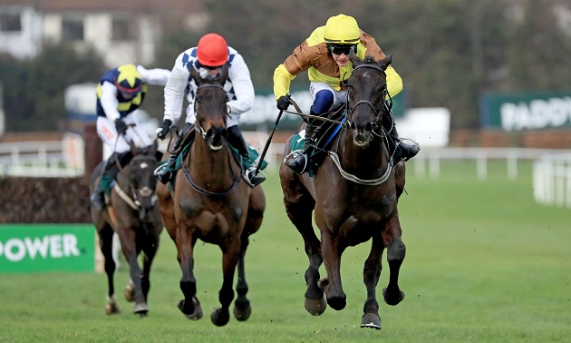 Cheltenham news