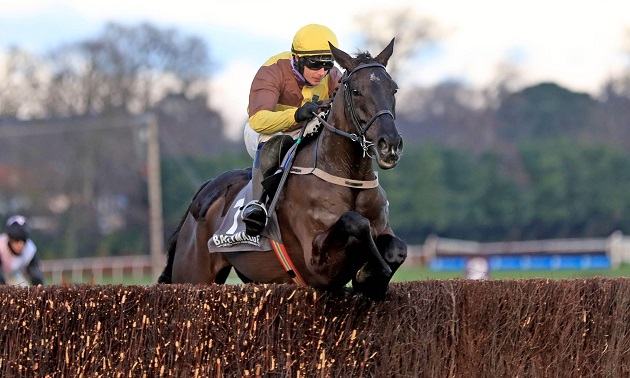 Cheltenham news