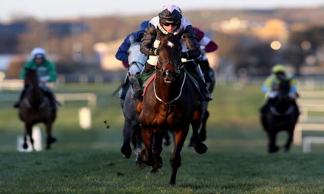 cheltenham tips