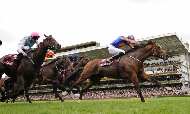 Timeform Global Rankings | World's Best Racehorses