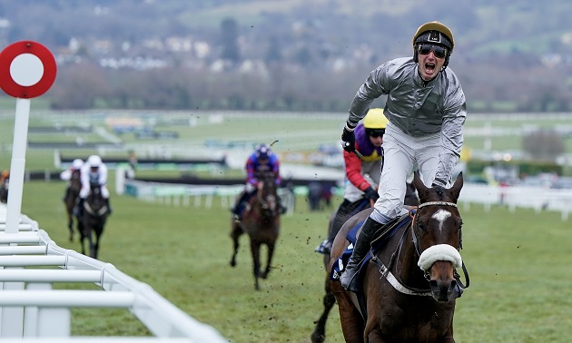 Cheltenham news