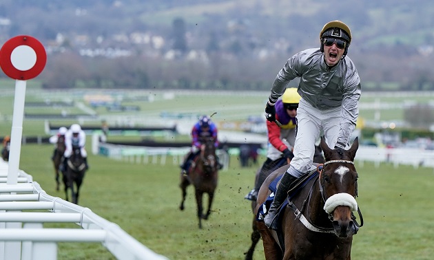 Cheltenham news