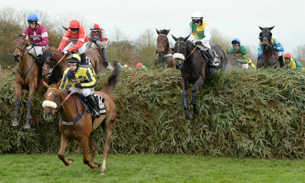 Grand National News