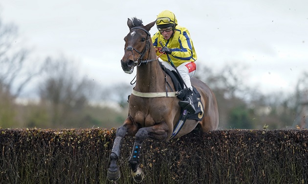 Cheltenham news