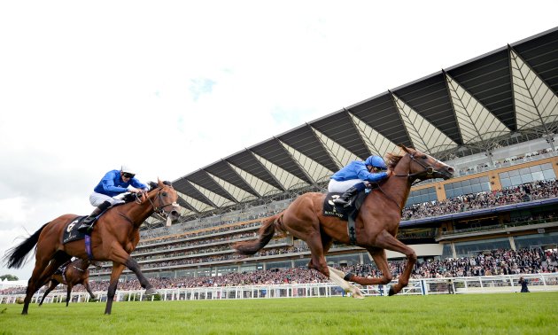 royal ascot tips