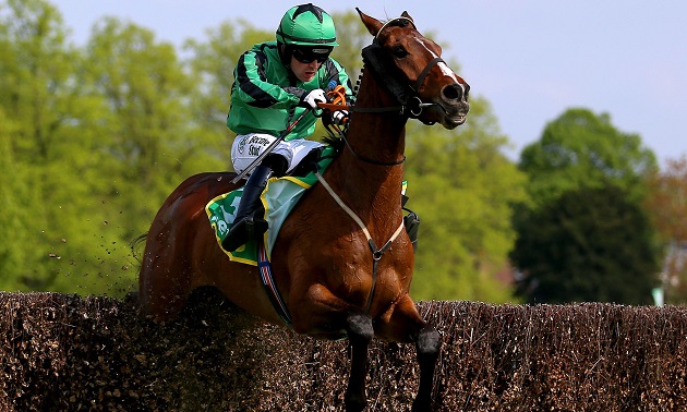 Grand National News