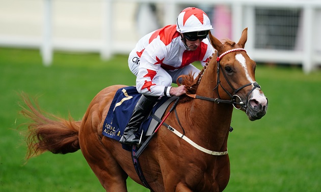 Royal Ascot news