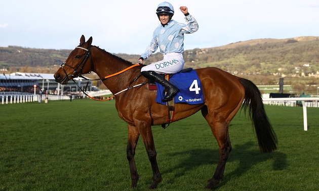 Cheltenham news