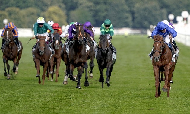 royal ascot tips