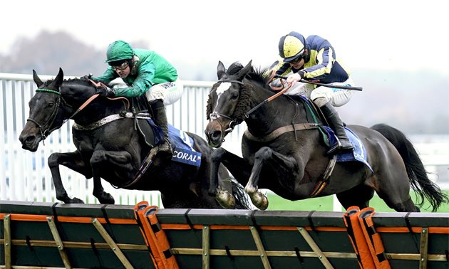 cheltenham tips