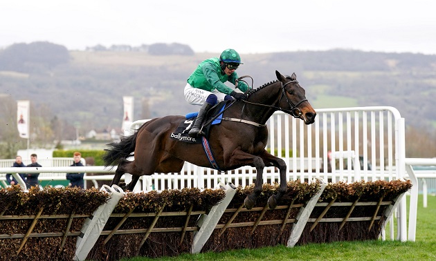 Cheltenham news