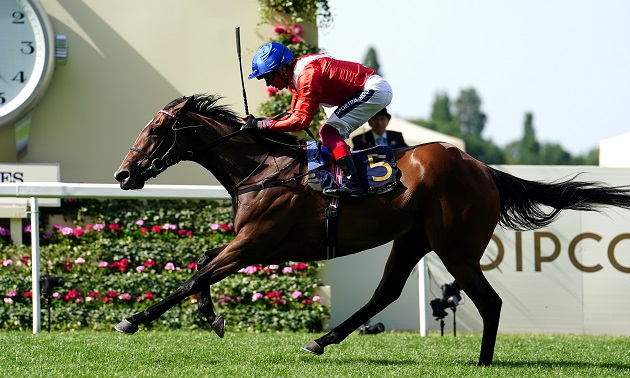 Royal Ascot news