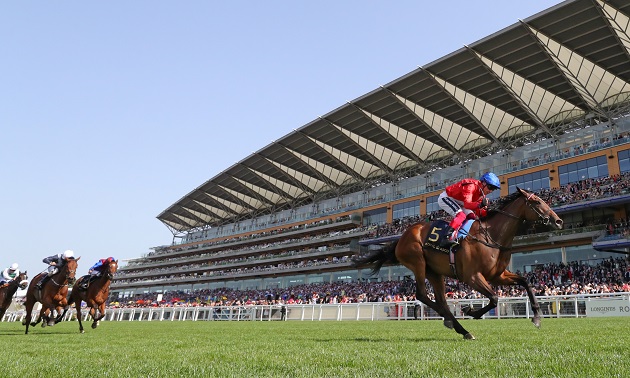 royal ascot tips