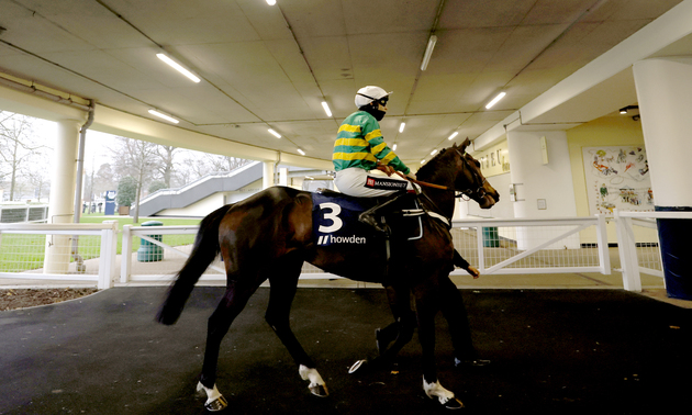 cheltenham tips