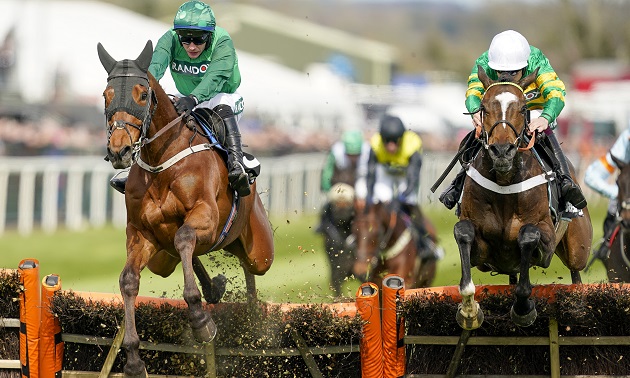 Cheltenham news