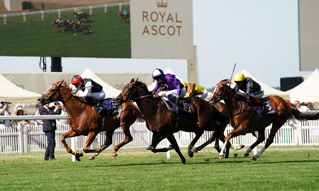 royal ascot tips