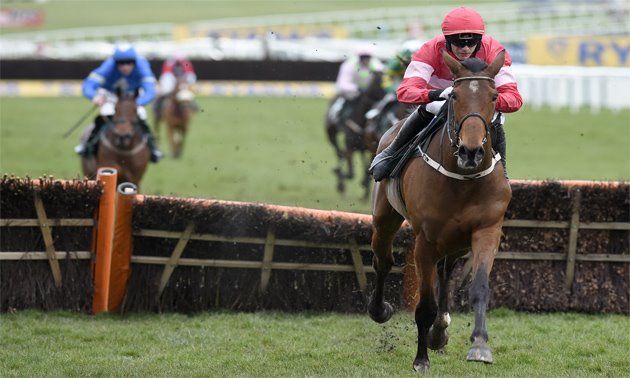 cheltenham news