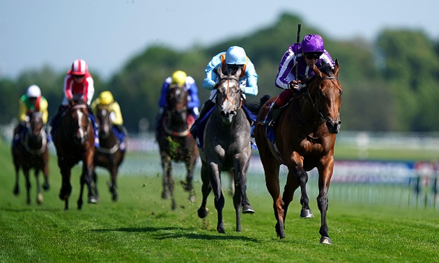 Royal Ascot news